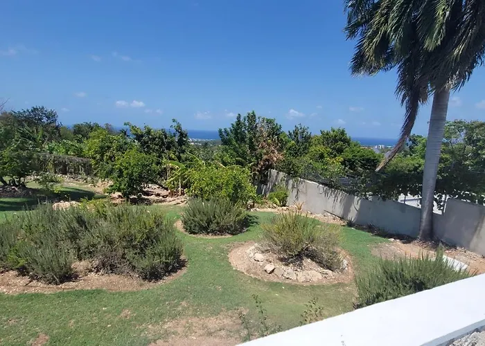 Ivy's Luxury Villa,